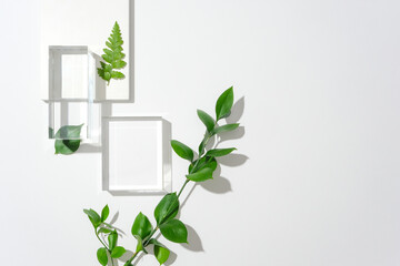 Two glass platforms, a white podium, fern leaves and green leaves decorate the left side of the white background. Design text with empty space. Commercial images.