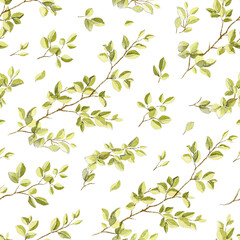 Seamless pattern with green ornate tree branches with foliage isolated on white background. Watercolor hand drawn illustration sketch