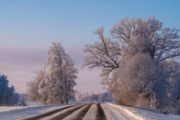 winter road in the snow