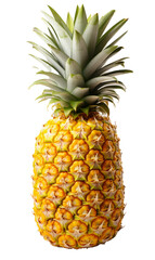 Ripe pineapple on a transparent background