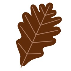 leaf isolated on white, illustration, spring leaves, autumn leaves, autumn leaves, maple leaves