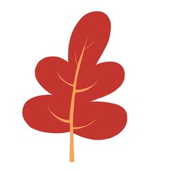 spring leaves, autumn leaves, changing leaves