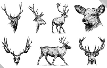 Vintage engraving isolated deer set illustration ink sketch. Northern reindeer background stag silhouette art. Black and white hand drawn vector image © Turaev