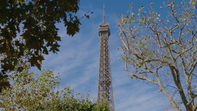 punta de la torre Eiffel rodeada de ramas de arboles un d&iacute;a despejado en par&iacute;s 
