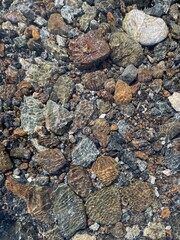 stones in the clear water 