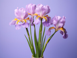 Iris flowers in vase on purple background. Shallow depth of field