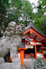 Stone Lion Statue at Japanese Shrine