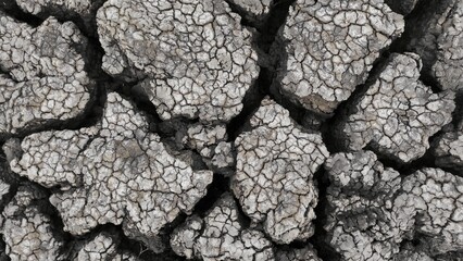 Cracked ground during hot climate after several months in village area