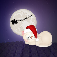 Christmas sleigh with cats in the moonlight