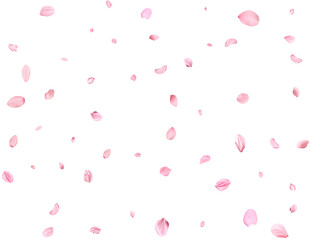 Pink Spring realistic sakura petals. © Elena