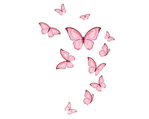 butterfly on a pink background