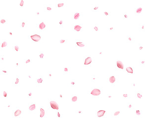 Fototapeta na wymiar Pink Spring realistic cherry petals.