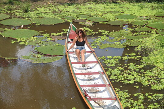 mulher sentada em barco rodeado por vit&oacute;rias r&eacute;gias no Rio Croa, em Cruzeiro do Sul, Acre 