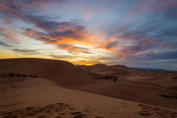 Sunset in the dunes of the Sahara desert. Camels sitting in the dunes. Sunset with some cloud and many colors