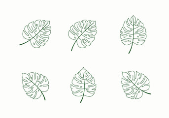 monstera deliciosa decorative leaf design collection
