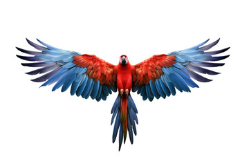 Fototapeta premium macaw flying isolated on white
