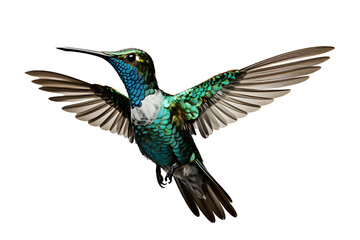 Obraz premium Beautiful Hummingbird in Flight on Transparent Background