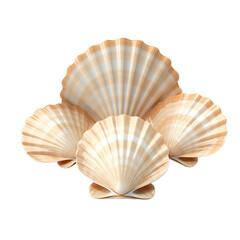 seashell, isolated, transparent, background, shell, marine, ocean, beach, aquatic, nature, conch, mollusk, spiral, beautiful, tropical, underwater, souvenir, collectible, intricate, delicate, coastal