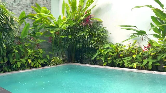 Rain season. The private swimming pool of tropical villa