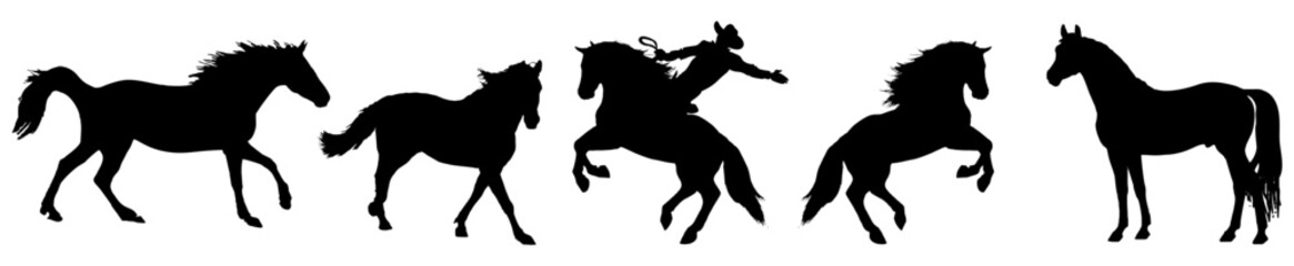 Obraz na płótnie Canvas Horse collection - vector silhouette. vector isolated.