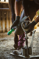  The farrier is preparing the hoof. He shapes the horse hoof with a hoof rasp.