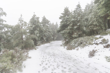 first snowfall of the year 2023 in the Sierra de Guadarrama in Madrid, Spain