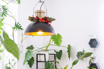 Black retro metal loft style lampshade with Christmas decor  and many indoor plants on a window in...