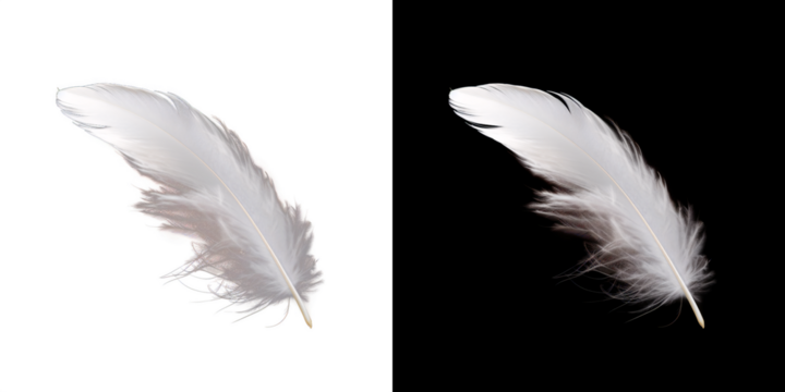 Realistic translucent white feather isolated on transparent background. 