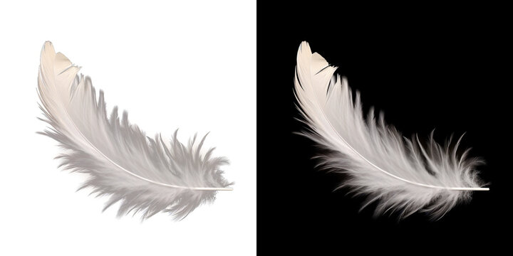 Realistic translucent white feather isolated on transparent background.