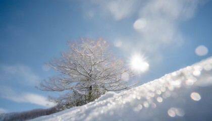 美しい銀世界　冬の雪山美しい樹氷