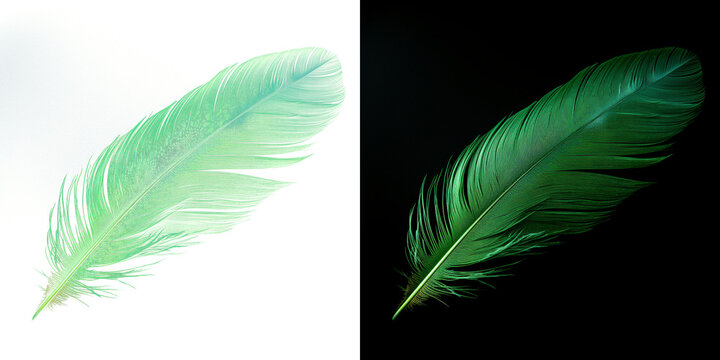Realistic translucent green feather isolated on transparent background.