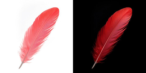 Realistic translucent red feather isolated on transparent background - obrazy, fototapety, plakaty