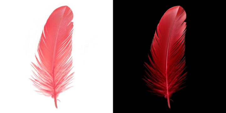 Realistic translucent red feather isolated on transparent background