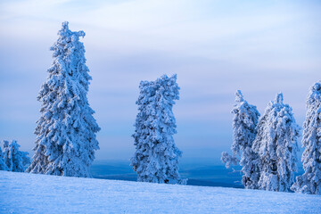 Deep snow-covered winter landscape on the Gro&szlig;er Feldberg in Taunus/Germany on a sunny day