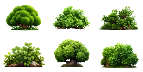 Foto op Aluminium Collection of 3d cartoon clipart bush trees isolated on white and transparent background © Black Pig