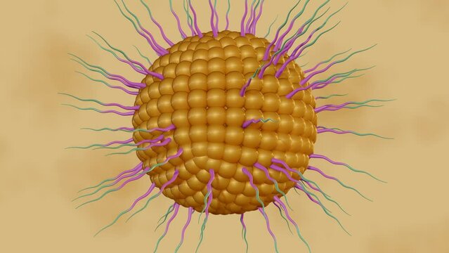 3d animation of Lipid-coated polymeric nanoparticles conjugated poly ethylene glycol for drug delivery 
