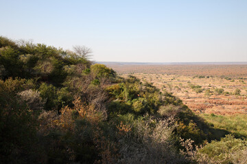 Krüger Park - Afrikanischer Busch – Olifants River / Kruger Park - African bush – Olifants River /