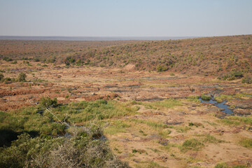 Krüger Park - Afrikanischer Busch – Olifants River / Kruger Park - African bush – Olifants River /