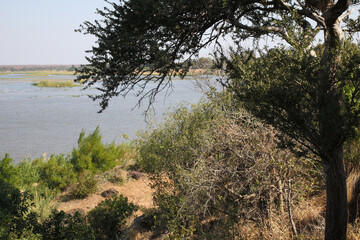 Krüger Park - Afrikanischer Busch – Letaba River / Kruger Park - African bush – Letaba River /