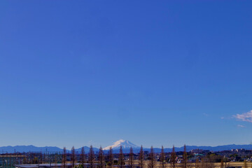 Fototapeta na wymiar 青空と遠景の富士山