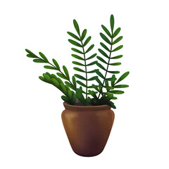 Home plant illustration Zamioculcas zamiifolia