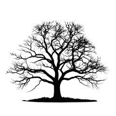Silhouette of tree isolated on transparent background
