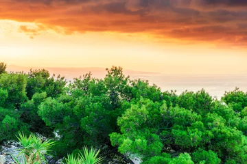 Fotobehang amazing landscape from a highland green park with trees and bushes to a beautiful sunset or sunrise above sea gulf with calm ocean water © Yaroslav