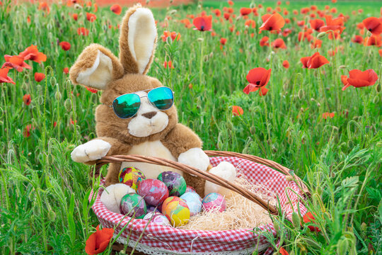 Lapin en peluche dans un panier avec des œufs décorés de Pâques au milieu d'un champs de coquelicots.  