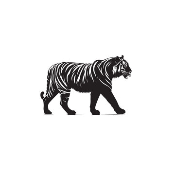 Tiger Silhouette in a Commanding and Focused Posture Black Vector Tiger Standing Silhouette
