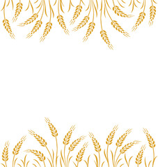 food seamless pattern, background, label with wheat, oat, barley, rye, wheat ears stalks silhouette