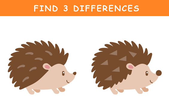 Find 3 differences in illustration. Educational activity with cute hedgehog illustration. Spot difference. Educational fun game for children.	
