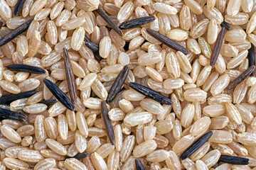 Backdrop of scattered textured brown and wild black rice