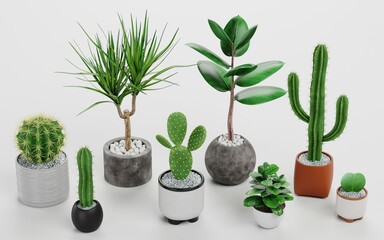 Realistic 3D Render of Home Plants
