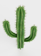 Realistic 3D Render of Saguaro Cactus